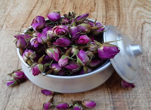 تصویر 5 از فروش گل محمدی لاله زار کرمان + قیمت خرید به صرفه
